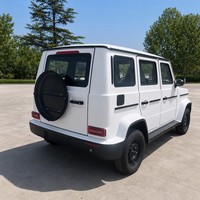 Mini SUV électrique tout-terrain robuste pour adultes, conduite à gauche, 5 portes, automatique, véhicule électrique à énergie nouvelle, prix direct usine