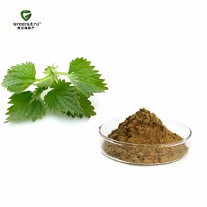 Extrait de <span class=keywords><strong>Racine</strong></span> de <span class=keywords><strong>Ortie</strong></span> Naturel Greenutra en Poudre, Extrait d'Urtica Dioica, Extrait d'<span class=keywords><strong>Ortie</strong></span> Picante 10:1, Extrait par Solvant pour la Santé - Product Image 3
