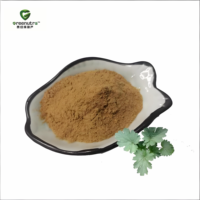 Extrait de Marrubium Vulgare et de Chardon pour les Remèdes Traditionnels à Base de Plantes Compléments Alimentaires Naturels et Produits Botaniques