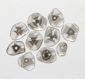 10 Piezas de Diamantes Sueltos Naturales Trapiche Polki de 3.40 Quilates, Claridad SI con Pulido Muy Bueno - Product Image 1