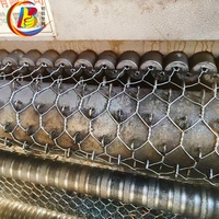 Grillage en fil d'acier galvanisé à maille plate pour cages d'élevage de poulets et de canards