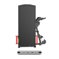 Usine Gym Fitness Equipment Pin Loaded Selectorized Back Extension Machine Select Back Extension avec Hyperextension Exercise