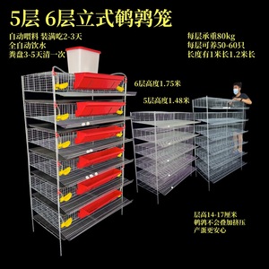 Gabbia per Quaglie a 5 Piani con Pulizia Automatica del Letame, Gabbia Verticale per Quaglie, Gabbia Rialzata per Pernici, Gabbia per Allevamento di Piccoli Uccelli - Product Image 4
