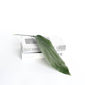 ราคาที่ดีที่สุดพืชจริงธรรมชาติดอกไม้สดใบ <span class=keywords><strong>Aspidistra</strong></span> สำหรับไม้ประดับ - Product Image 3