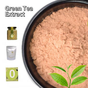 Estratto vegetale di polifenoli estratto di tè verde fonte organica di catechina - Product Image 5