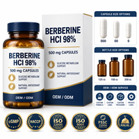 OEM Berberine HCl 98% Haute Concentration 500mg Capsules Antioxydants Naturels pour le Soutien du Métabolisme du Glucose