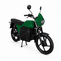 Wholesale Custom 70Km/h High Speed Retro Electric Motorcycle Long Range Battery 2.7 Kw 2 Wheel Adult Electric Motorbike
