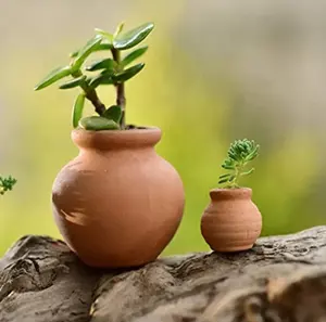 Commercio all'ingrosso Mini vaso di fiori in Terracotta ceramica per interni ed esterni acquario decorazione di piante succulente e acquario Pack