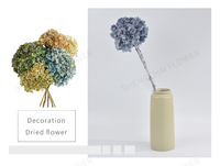Hydrangea Anna séchée naturelle et préservée pour la décoration de mariage, les arrangements floraux, la Saint-Valentin et la décoration intérieure – Vente en gros