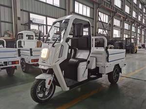 Triciclo Elettrico a 3 Ruote per Trasporto Merci, <span class=keywords><strong>Minivan</strong></span> Piccolo, Cassone Aperto, Carico Utile 400kg, Autonomia 50-70km, Consegna al Magazzino - Product Image 2