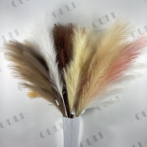 H0019 Naturale di Fiori Secchi Decorazione Domestica E La Decorazione di Nozze di Nozze Piccolo Artificiale Decorativo Soffici <span class=keywords><strong>Pampas</strong></span> Erba <span class=keywords><strong>Per</strong></span> Vaso - Product Image 3