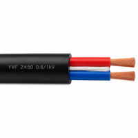 Câble YVF robuste 2 conducteurs 0,6/1 kV, bonne résistance à l'huile pour palans et engins mobiles 2*50mm²
