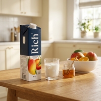 Cartons en briques aseptiques personnalisés pour jus de fruits et boissons de qualité supérieure