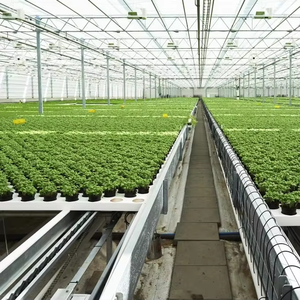 Grande serre agricole multi-chapelles en polycarbonate, galvanisée à chaud, haute résistance, robuste et résistante au vent - Product Image 2