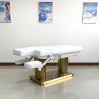 Table de soin électrique moderne et réglable en PU pour spa, salon de beauté, tatouage, massage, épilation et soins corporels, usage professionnel