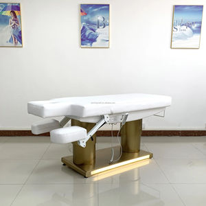 Cama Eléctrica Moderna para Spa y Estética, Ajustable, para Tatuajes, Masajes, Tratamientos Corporales y Depilación - Product Image 1