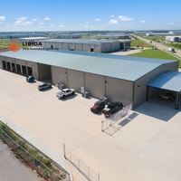 Atelier en structure d'acier léger, bâtiment d'usine durable, bâtiment en acier préfabriqué