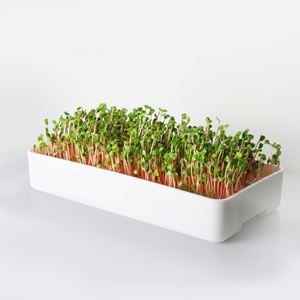 J C microgreen tray microgreen kit plastic microgreen tray with bottom white reusable