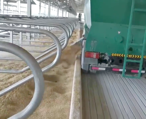 High Grade Dung <strong>Spreading</strong> Wagon Cow <strong>Manure</strong> Spreader Cattle Farm Equipment Sawdust <strong>Spreading</strong> Machine for Dairy Farm - Product Image 1