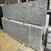 Dalles de granit naturel Newstar Stone, prix d'usine, granit noir coupé sur mesure pour comptoir