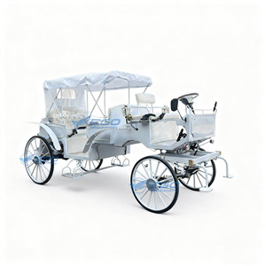 Charrette électrique de haute qualité pour mariages ou visites touristiques, transport spécial, charrettes de Cendrillon - Product Image 1