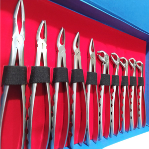 Premium Quality Dental Surgery Tooth Forceps Handle Custom Stainless Steel Tooth Extracting Forceps <b>Pliers</b> Dental Extraction <b>Set</b> - Product Image 2