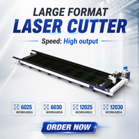 Machine de découpe laser à fibre de haute précision 6000W 12000W en acier inoxydable, grande capacité, avec rail de guidage Hiwin Cypcut, haute productivité