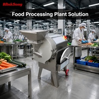 BlinkSong Industriële Fruit- en Groenteverwerkingsmachine Multifunctionele Snijder/Slicer/Shredder/Dicer Vier Snijkoppen OEM ODM B2B