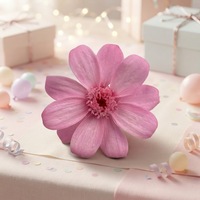 Fleurs de cosmos naturelles préservées, 12 pièces/boîte, 4-5 cm, fleurs de gerbera séchées éternelles, véritables, pour mariage, décoration de la maison, cadeau