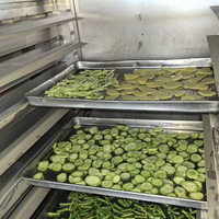 Automatische Voedseldroger 3kW 240V Schaaldehydrator 304SS voor het drogen van mango, banaan, appel, cassave, vis en kokosnoot