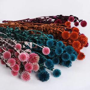 Flores y Plantas secas Eryngium de Planeta Azul preservado de <span class=keywords><strong>echinops</strong></span> coloridos más populares de INS para decoración del hogar de bodas - Product Image 2