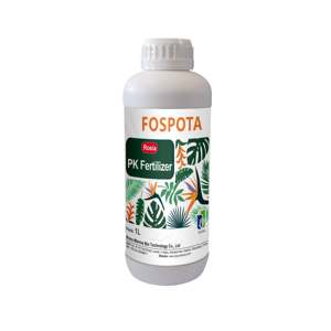 <span class=keywords><strong>Engrais</strong></span> organique liquide de <span class=keywords><strong>phosphore</strong></span> de potassium de haute pureté soluble dans l'eau de Rosia avec libération rapide pour le compost de cacaoyers - Product Image 6