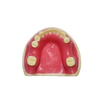 Modelo de enseñanza de práctica de implantes dentales