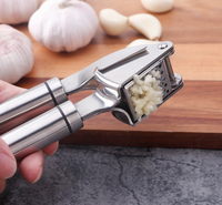 Presse-ail manuelle en acier inoxydable 304 de qualité professionnelle, ustensile de cuisine en métal pour la maison, pour faire de la pâte de gingembre et d'ail