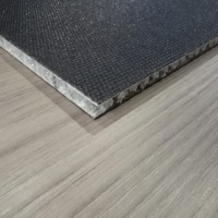 Panneau composite sandwich personnalisé en fibre de verre et nid d'abeille PP au meilleur prix pour plateforme d'échafaudage et planche d'échafaudage