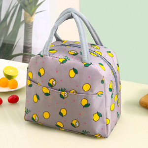 Mini Giá Rẻ Tote Tùy Chỉnh Cách Điện Xách Tay Thuận Tiện Cô Gái Ăn Trưa Túi Ăn Trưa Túi Lạnh Cho Các Trường Học Văn Phòng Dã Ngoại Người Lớn - Product Image 5