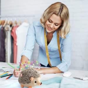 Набор для шитья: подушечка для булавок в форме ежика с 100 цветными булавками - Product Image 4