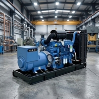 Générateur diesel silencieux Yuchai 300-500 kW, refroidi par eau, pour petites entreprises et exploitations agricoles