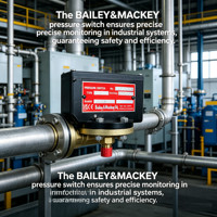 Pressostat différentiel compact BAILEY&MACKEY (Royaume-Uni) – Unité de contrôle de pression durable pour système de surveillance de pipeline