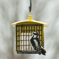 Carillon éolien ton profond pour extérieur, jardin, patio, cour, avec mangeoire à oiseaux suspendue en suède – Décoration en liquidation