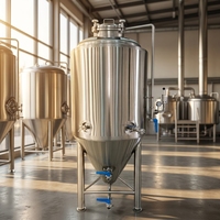 Système de Fermentation en Acier Inoxydable Microcerveceria 500L 1000L pour Brasserie Artisanale