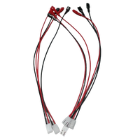 Arnés de Cables LED Rojo y Negro Personalizado con Terminales de Crimpado, Fabricante de Conjuntos de Cables Eléctricos