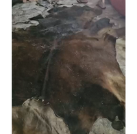 Kulit Sapi Asli Mentah Basah Berlapis Garam, Tebal Dua Lapis, Terbaik untuk Sepatu Kerja Berat, Produksi Furnitur & Sofa