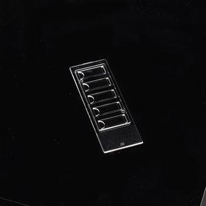 Chambre de comptage cellulaire microfluidique pour la cytométrie en flux, analyse microbienne, matériaux usinés par CNC personnalisables et service OEM/ODM - Product Image 5