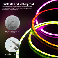 Bande lumineuse au néon rgbic bricolage de haute qualité 12v 24v avec musique Sync Tuya Smart APP pour la décoration de la chambre à coucher maison intelligente