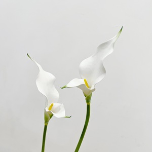 D-231 Giglio Cala di Alta Qualità in PU Effetto Reale, Giglio Cala Bianco Borgogna per Design Artistico e Decorazioni Nuziali - Product Image 1