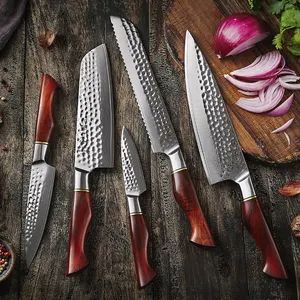 5 قطعة 73 طبقات دمشق مسحوق الصلب المطبخ طقم السكاكين الراقية دمشق طقم السكاكين