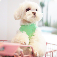 Gilet pour chien avec imprimé de fruits mignons, vêtements d'été/printemps pour animaux de compagnie, Saint-Valentin et Nouvel An chinois, nouveauté 2022