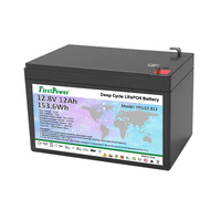 Batterie rechargeable FPLi12.812 FirstPower 12,8 V 12 Ah LFP 153,6 Wh pour l'alimentation de secours des équipements de surveillance