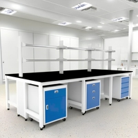 Meubles de laboratoire scolaire modernes résistants à la corrosion, bancs de laboratoire en acier et en bois personnalisés pour la chimie, la biologie, la physique